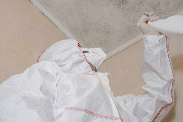 Mold Testing and Removal in Oildale, CA